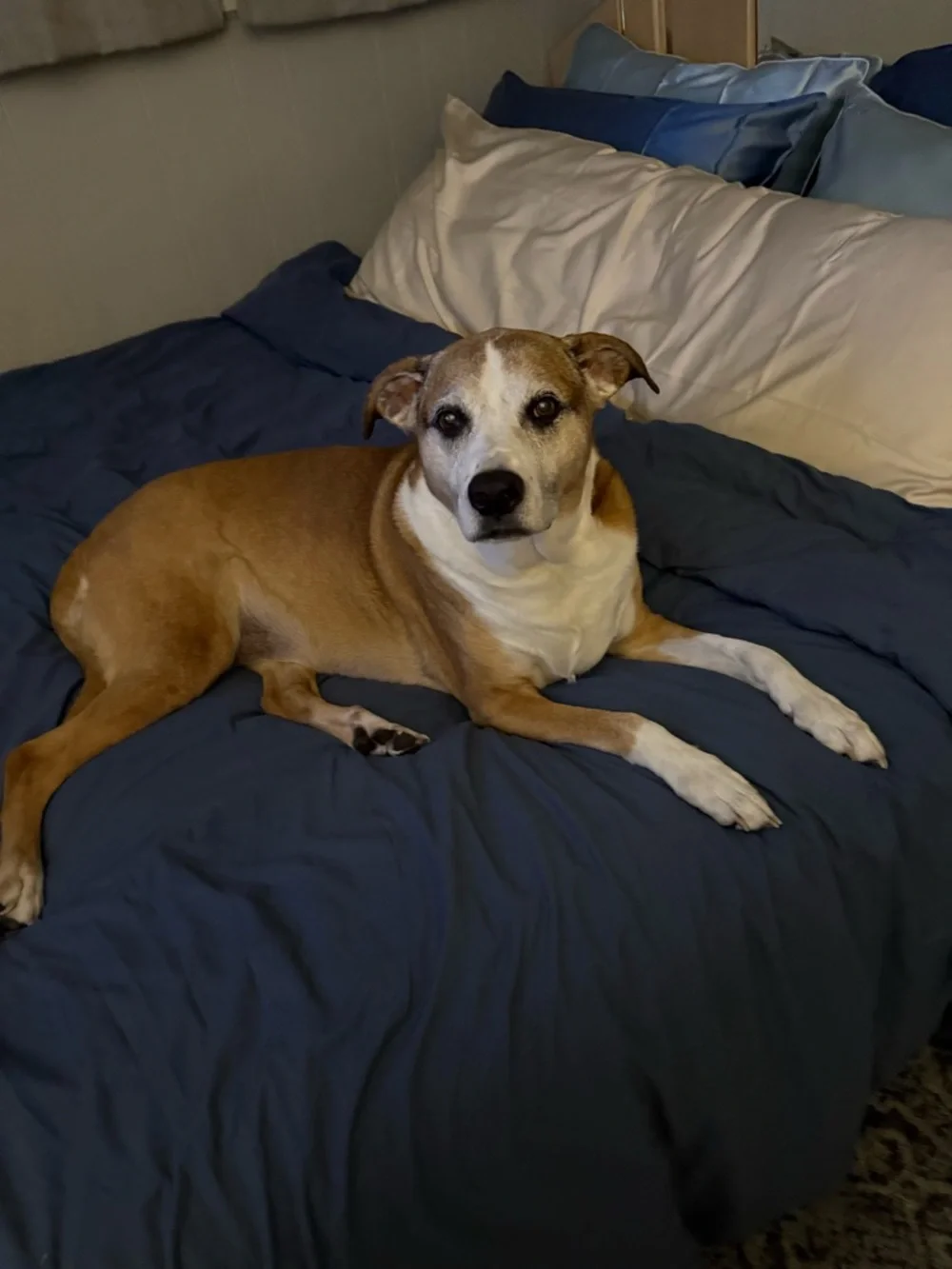 💗💗💗 - Picture 2 of 2